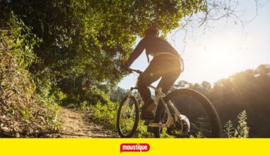 Cette piste cyclable près de la Belgique est élue parmi les plus belles d'Europe