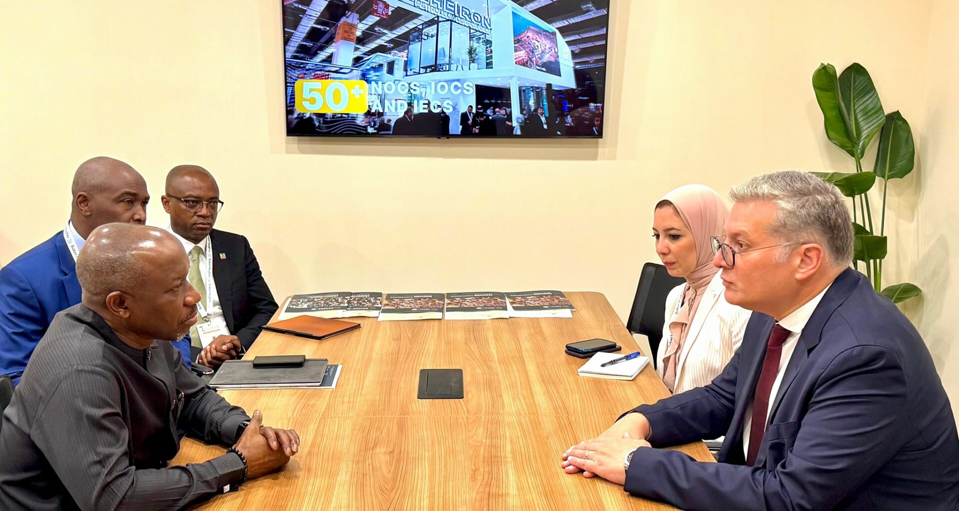 Egypt, Nigeria explore joint energy investments at Gastech 2025