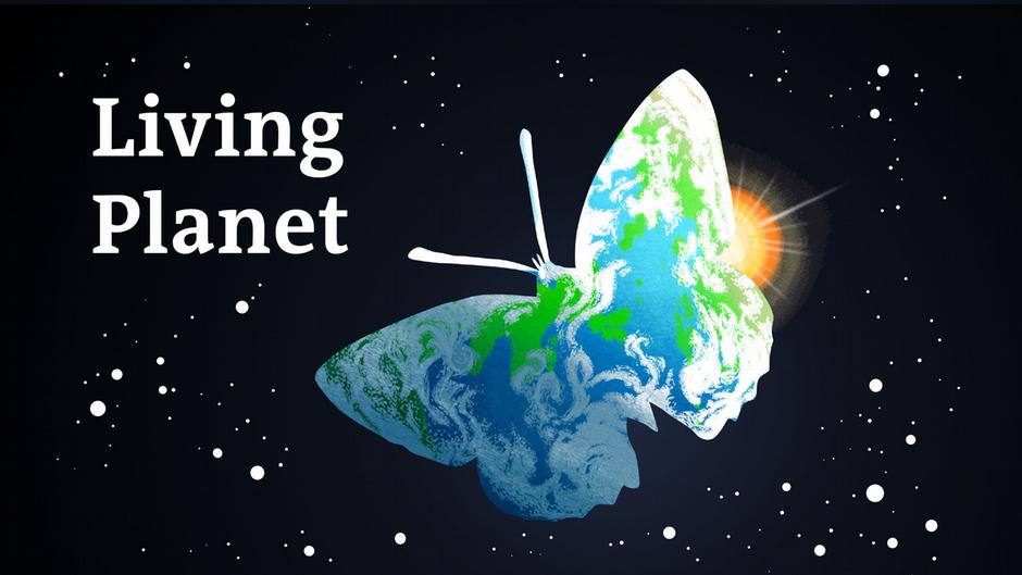 Norway's big green lie – DW – 09/26/2025