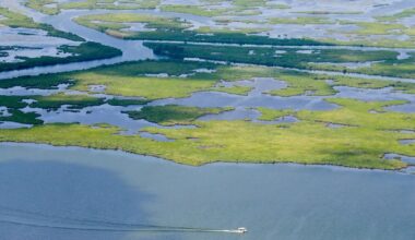 Trump administration backs Chevron in Louisiana coastal case | Environment