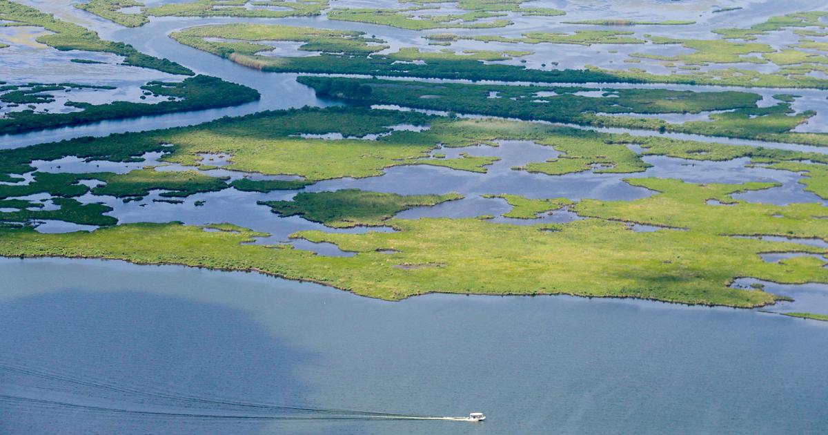 Trump administration backs Chevron in Louisiana coastal case | Environment