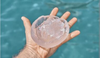 Lanceur d'alerte : les implants mamaires sont des meduses.