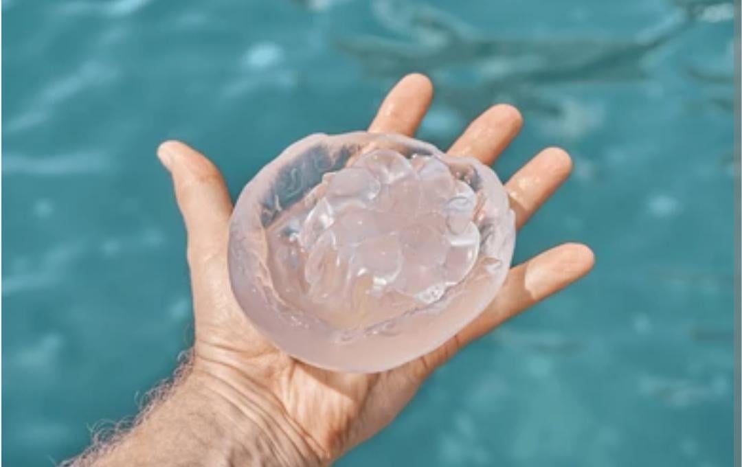 Lanceur d'alerte : les implants mamaires sont des meduses.