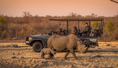 Sierra Leone, Kyrgyzstan, Mexico, Croatia, Türkiye, India, Romania, El Salvador, Finland, and the United States feature as Intrepid Travel releases 2026 Not Hot List for conscious travellers