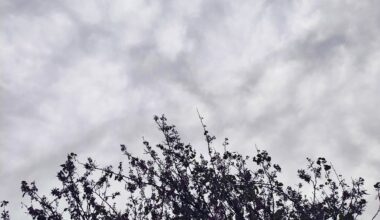 Καιρός: Πρόγνωση για νέα ισχυρότερη κακοκαιρία!