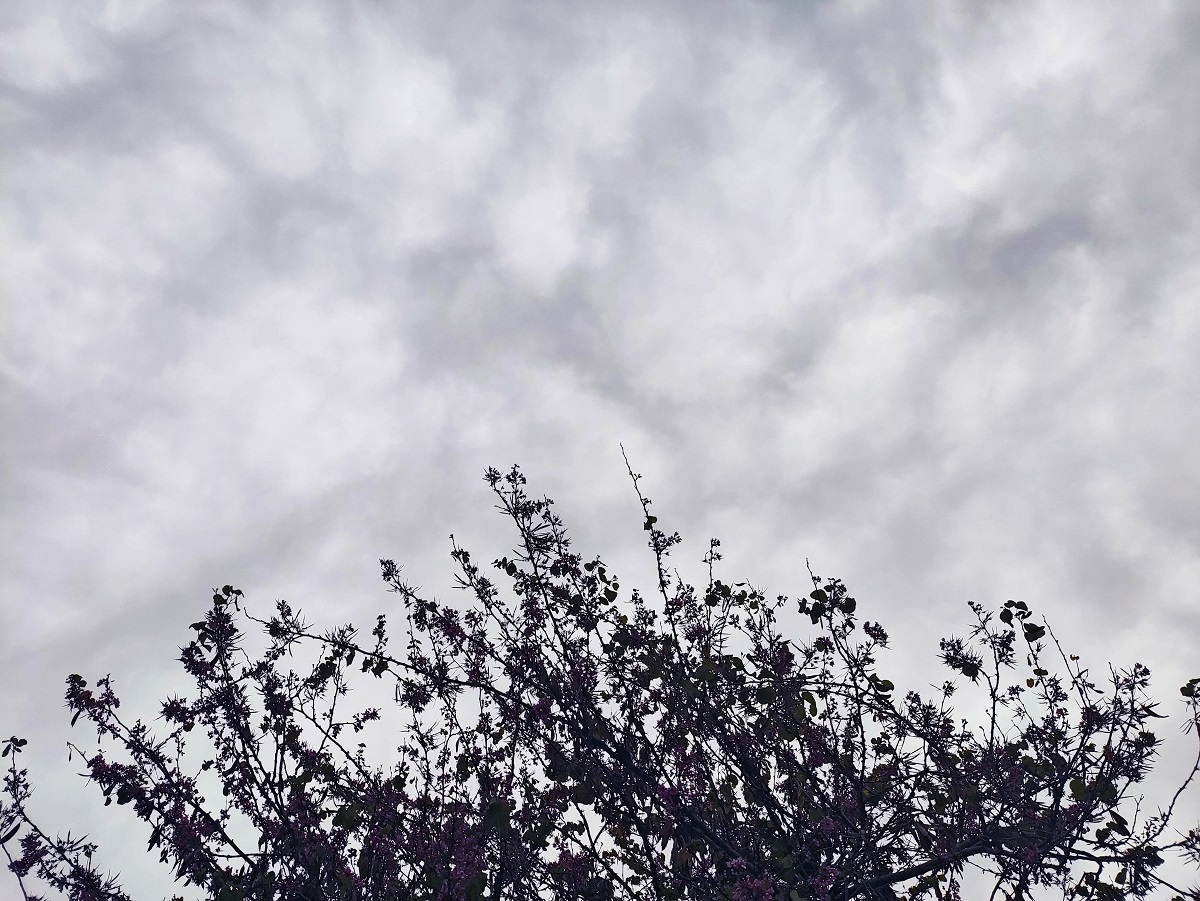 Καιρός: Πρόγνωση για νέα ισχυρότερη κακοκαιρία!