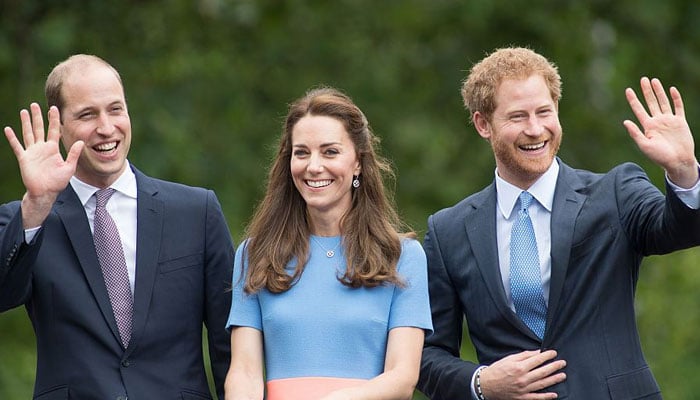 Kate Middleton shows support to Prince William amid ongoing rift with Harry subtly