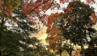 Fall foliage: The science behind leaves of change