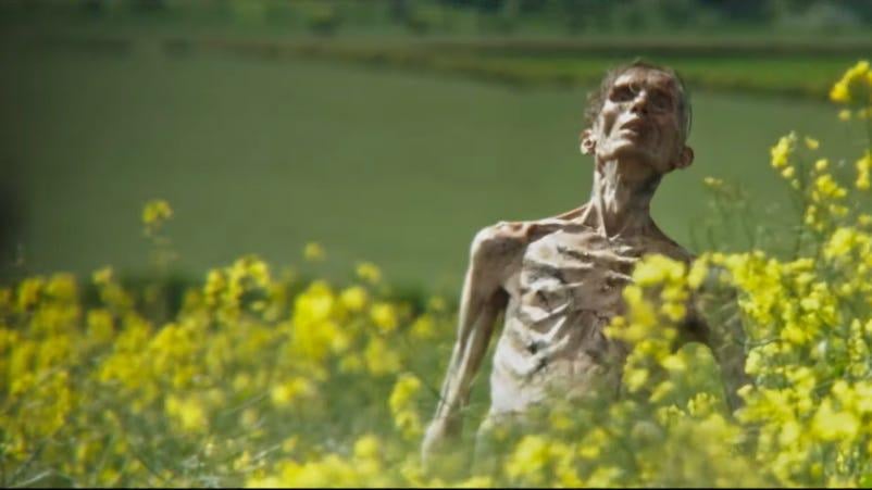 Cillian Murphy's Son Made Sure the Chronically Offline Actor Knew People Thought He Was the Emaciated Infected in the 28 Years Later Trailer: 'That's Great People Think I Look Like a Zombie Cadaver'