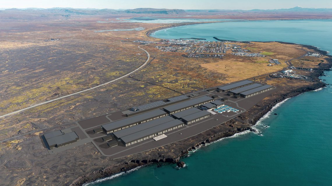 Iceland’s First Water launches export sales of 5 kg salmon