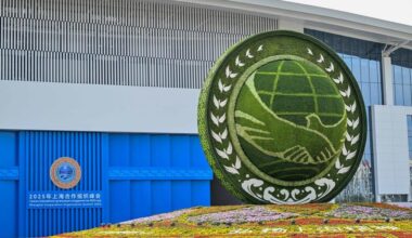 Belarus' full membership strengthens SCO cooperation - Opinion