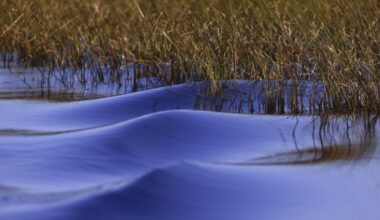 Enbridge Line 5 pipeline fight: What happens next? | Government
