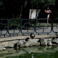 Bird flu outbreak shuts parks in Spain's Andalusia | National