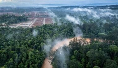 Norway’s wealth fund excludes French miner over Indonesian nickel project