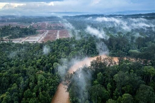 Norway’s wealth fund excludes French miner over Indonesian nickel project