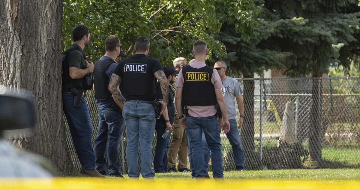Immigration agent who shot man in Chicago-area traffic stop says injuries were 'nothing major' | National News
