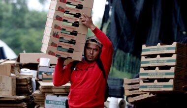 Trump’s immigration crackdown spurs farmer reform, farmworker fear