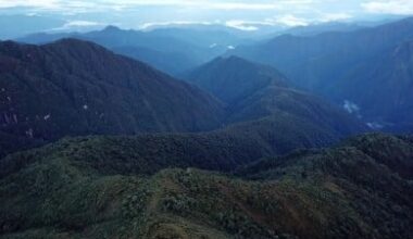 Can Amazon and Andean trees move to survive climate change?