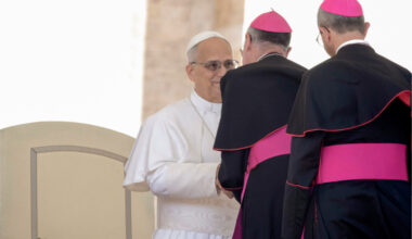 Pope Leo: synodality is key to unity