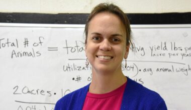 LCPS teachers visit Netherlands | Local News