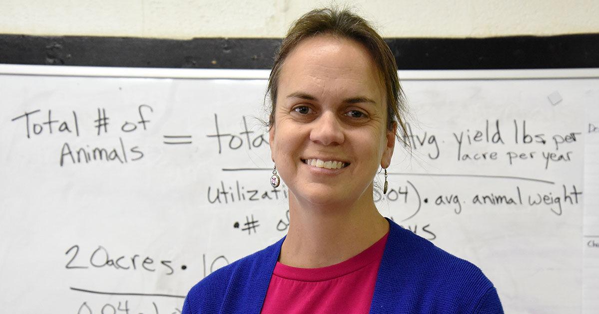 LCPS teachers visit Netherlands | Local News