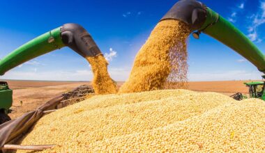 Tariffs And Trade War Bring Volatility To SD Ag Industries | Community