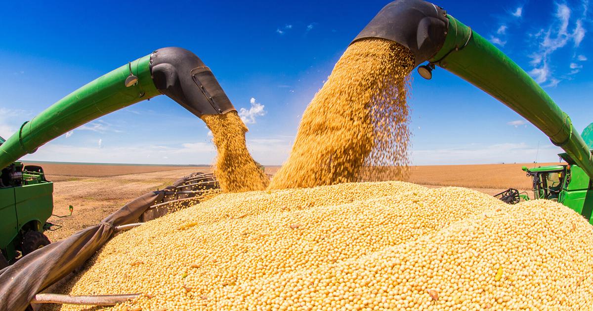 Tariffs And Trade War Bring Volatility To SD Ag Industries | Community