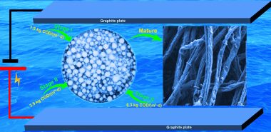 Response of aerobic granular sludge to organic loading rate under micro-electric stimulation environment