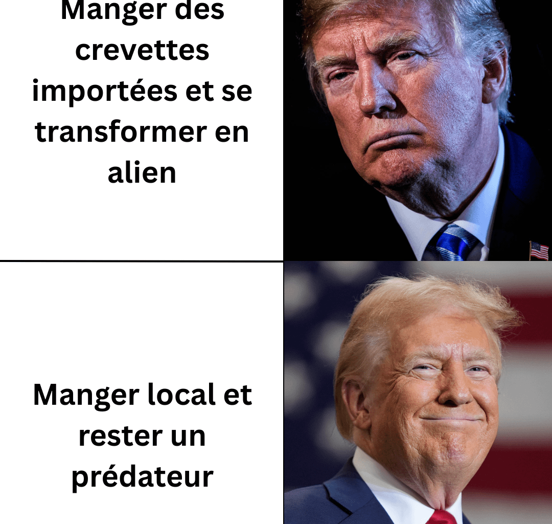 La question elle est vite répondue