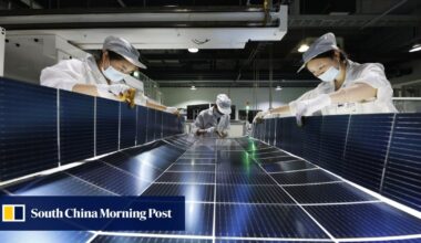 Facing China’s solar power industry, EU advised to concede defeat