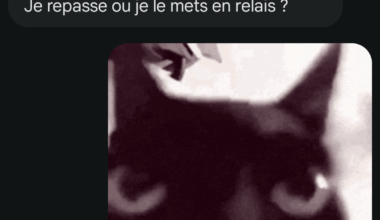 C'est une réponse acceptable ?