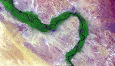 Do not underestimate the role Big Oil played in much of humanity losing their minds: fossil fuels did not just overheat the planet, they destabilised democracies, rewired culture, & poisoned collective thought. dismantling big oil is not just a climate fight, it is a fight for sanity