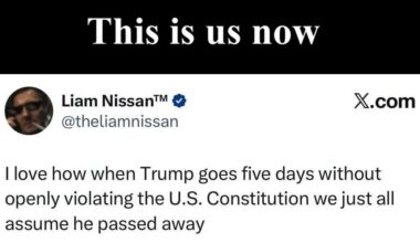 Ha....that's actually the most oddly true thing I've heard in a long time. Sad, people are saying.