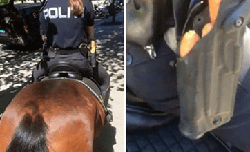 Do Norwegian Police carry? No, they carrot
