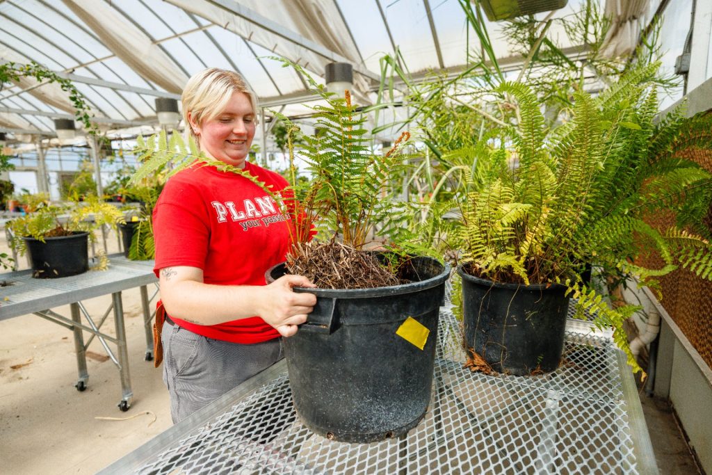 Sophia Reavley placing a potted plant on an aluminum table