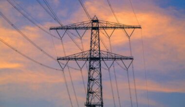 Power station may need environment exemption to guarantee supplies