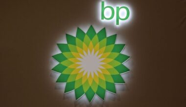 BP abandons plans to build Rotterdam biofuels plant