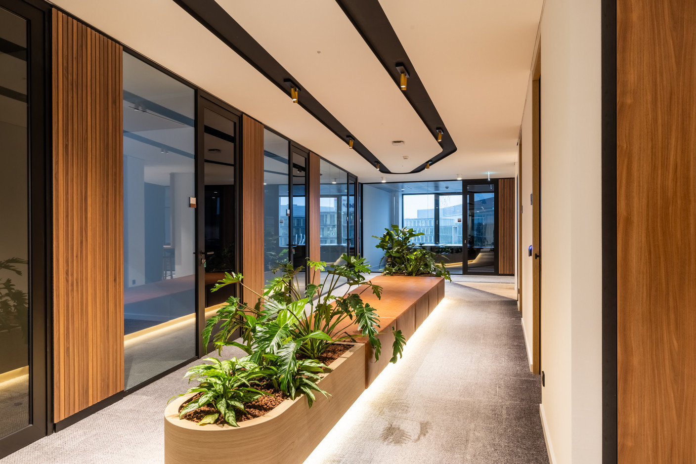 Espaces de bureaux chez Stibbe Luxembourg. Tétris Luxembourg