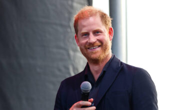 No ‘part time royal’ role for Prince Harry, says King