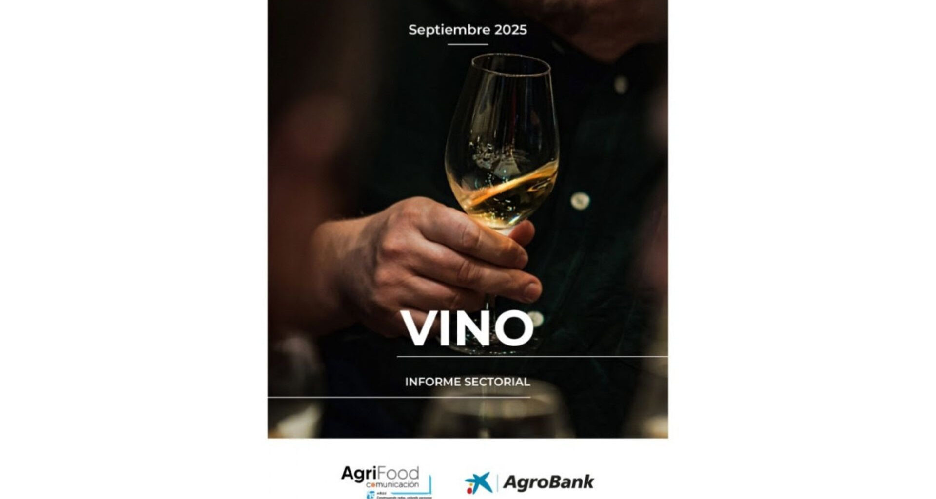 La producción de vino en España crece un 15% y las exportaciones rozan los 3.000 millones de euros