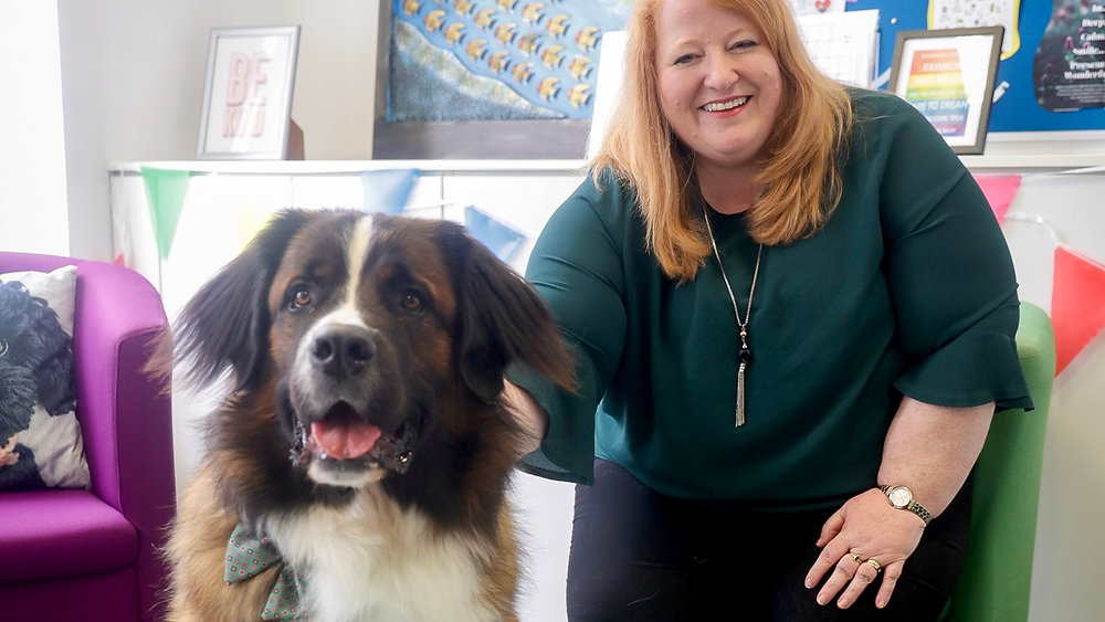 Justice Minister meets therapy dog supporting young witnesses in Northern Ireland courts