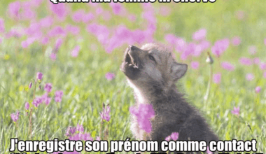 Faut être gentille tu sais