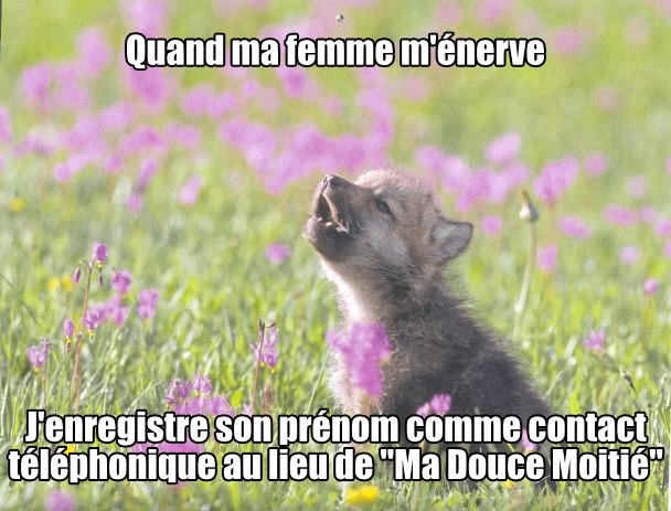 Faut être gentille tu sais