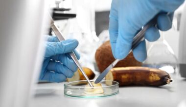 Researchers make stunning discovery after zapping rotting food with electricity: 'We are creating an industry'