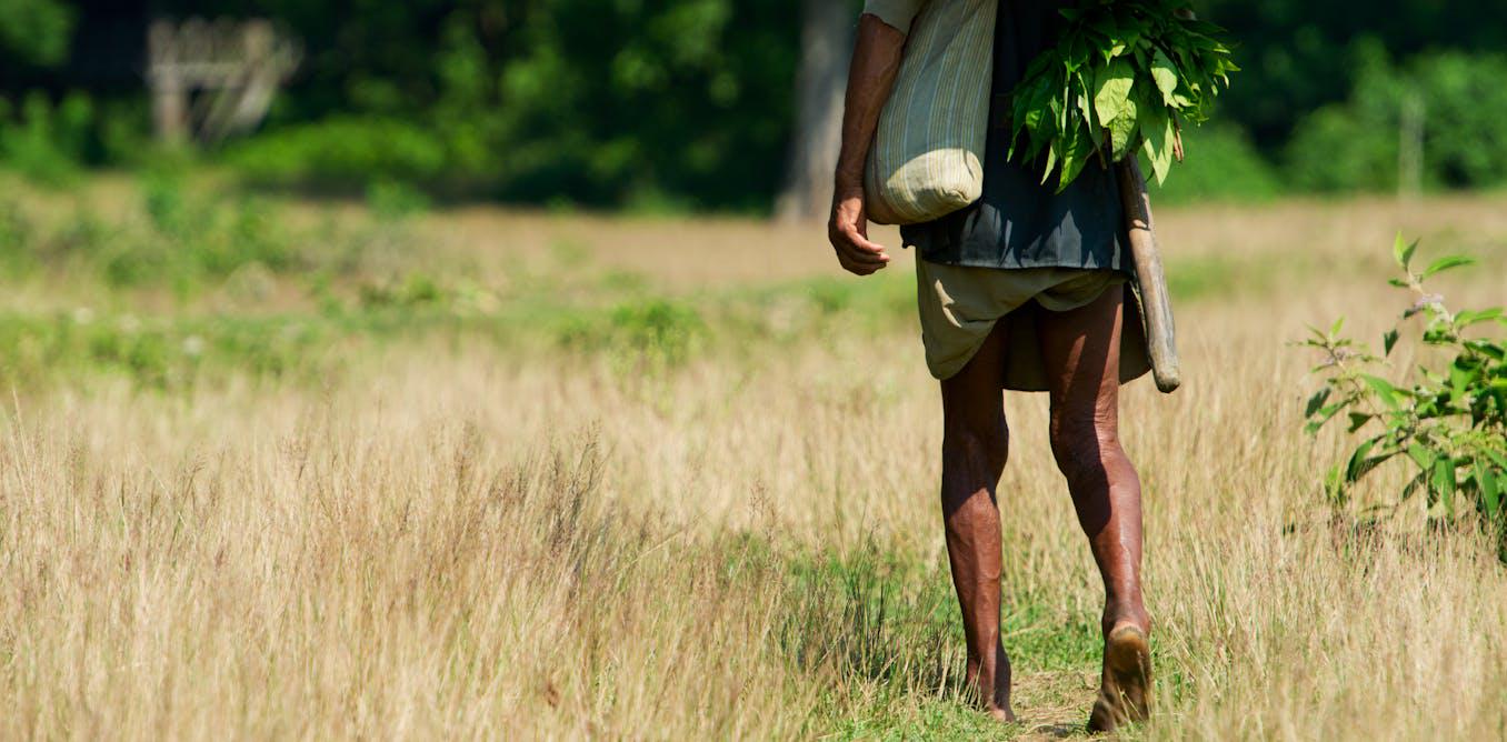 Has extreme poverty really plunged since the 1980s? New analysis suggests not
