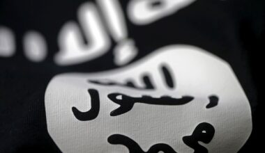 Flying the Isis flag is legal, Sweden declares