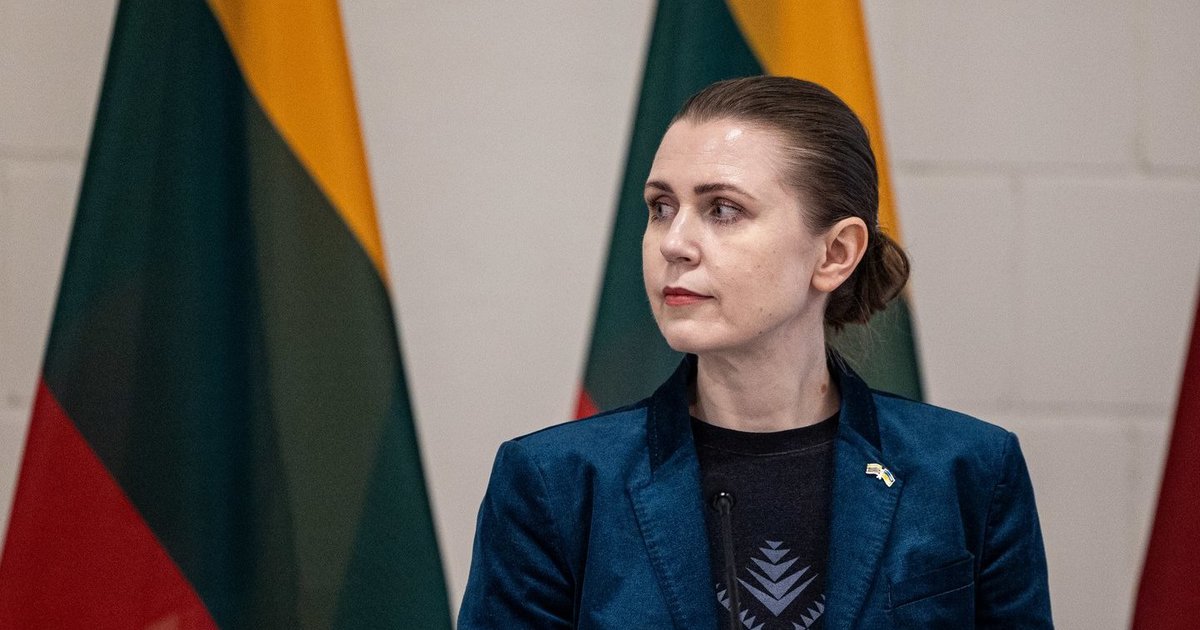 „Ji pati stumia save į kampą“ – perspėja dėl pavojingo Šakalienės elgesio