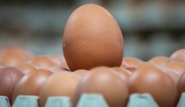 Luxemburgs Erzeugerpreise steigen um 18,4 Prozent: Eier und Milch betroffen