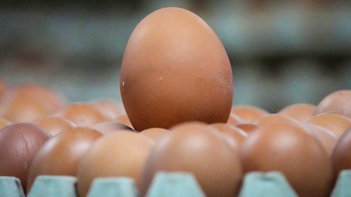 Luxemburgs Erzeugerpreise steigen um 18,4 Prozent: Eier und Milch betroffen