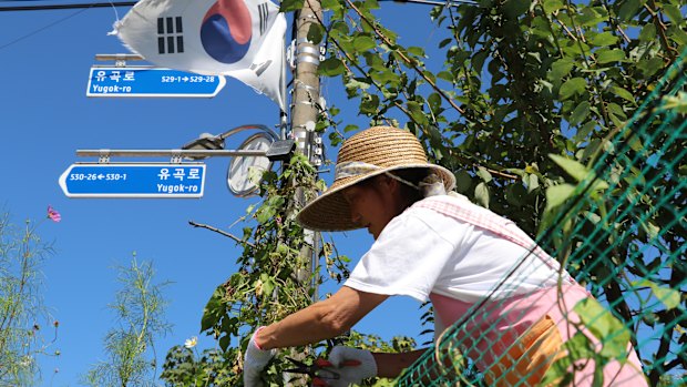 A woman prunes her garden in Yugok-ri.